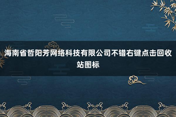 海南省哲阳芳网络科技有限公司不错右键点击回收站图标