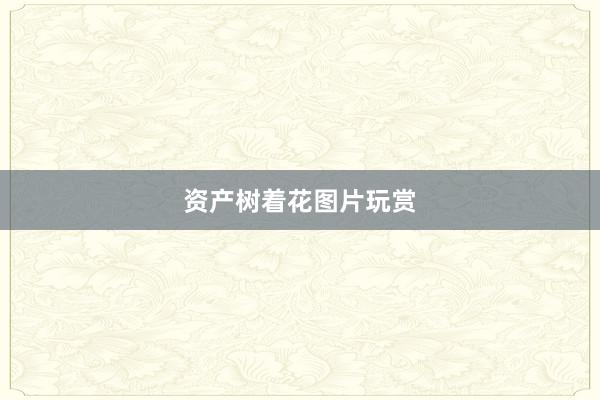资产树着花图片玩赏