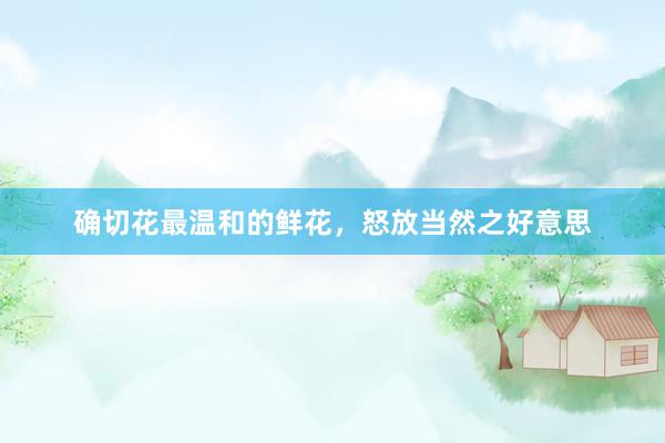确切花最温和的鲜花，怒放当然之好意思