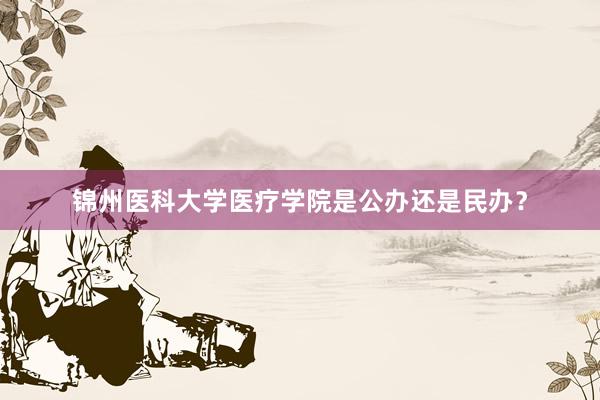 锦州医科大学医疗学院是公办还是民办？