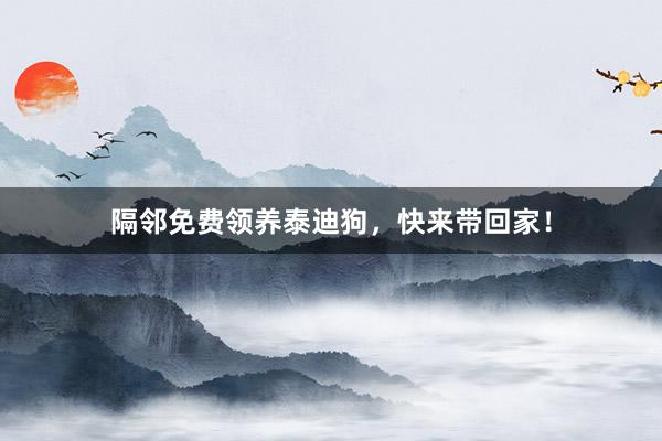 隔邻免费领养泰迪狗，快来带回家！