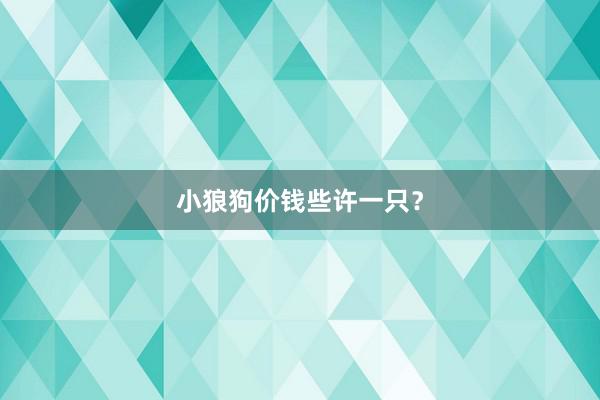小狼狗价钱些许一只?