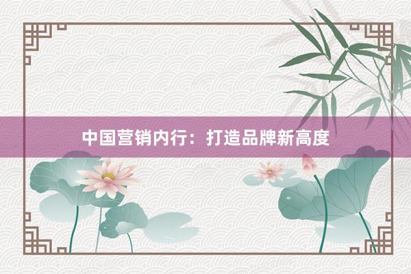 中国营销内行:打造品牌新高度